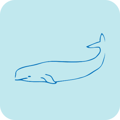 Beluga